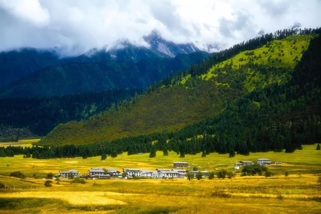 林芝|秋色|鲁朗林海_新浪新闻