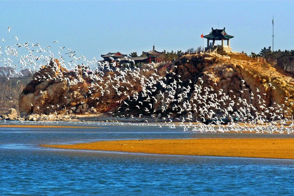 镶嵌在渤海湾北岸中的璀璨明珠
