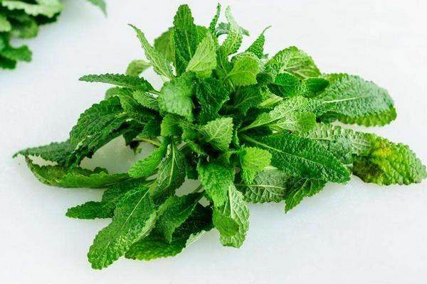 农村这东西到处可见,没几个人知道它的价值,现在一斤却可卖15元|癞