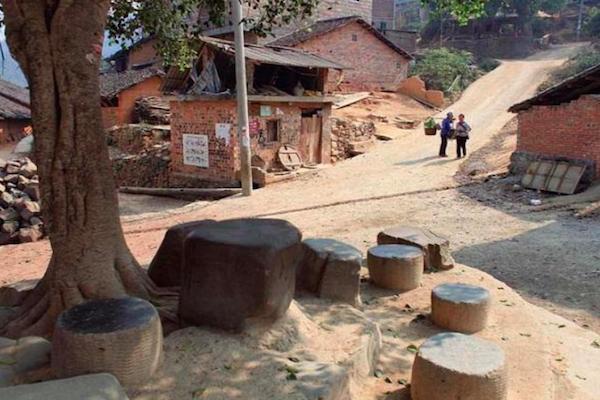 农村老话常说无树不成村为什么村口都有一棵大树