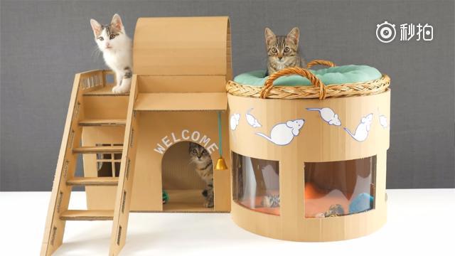 五分钟教会你用纸壳自己制作一个猫窝
