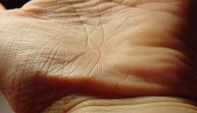 手相|玉柱|金龟婿_新浪新闻