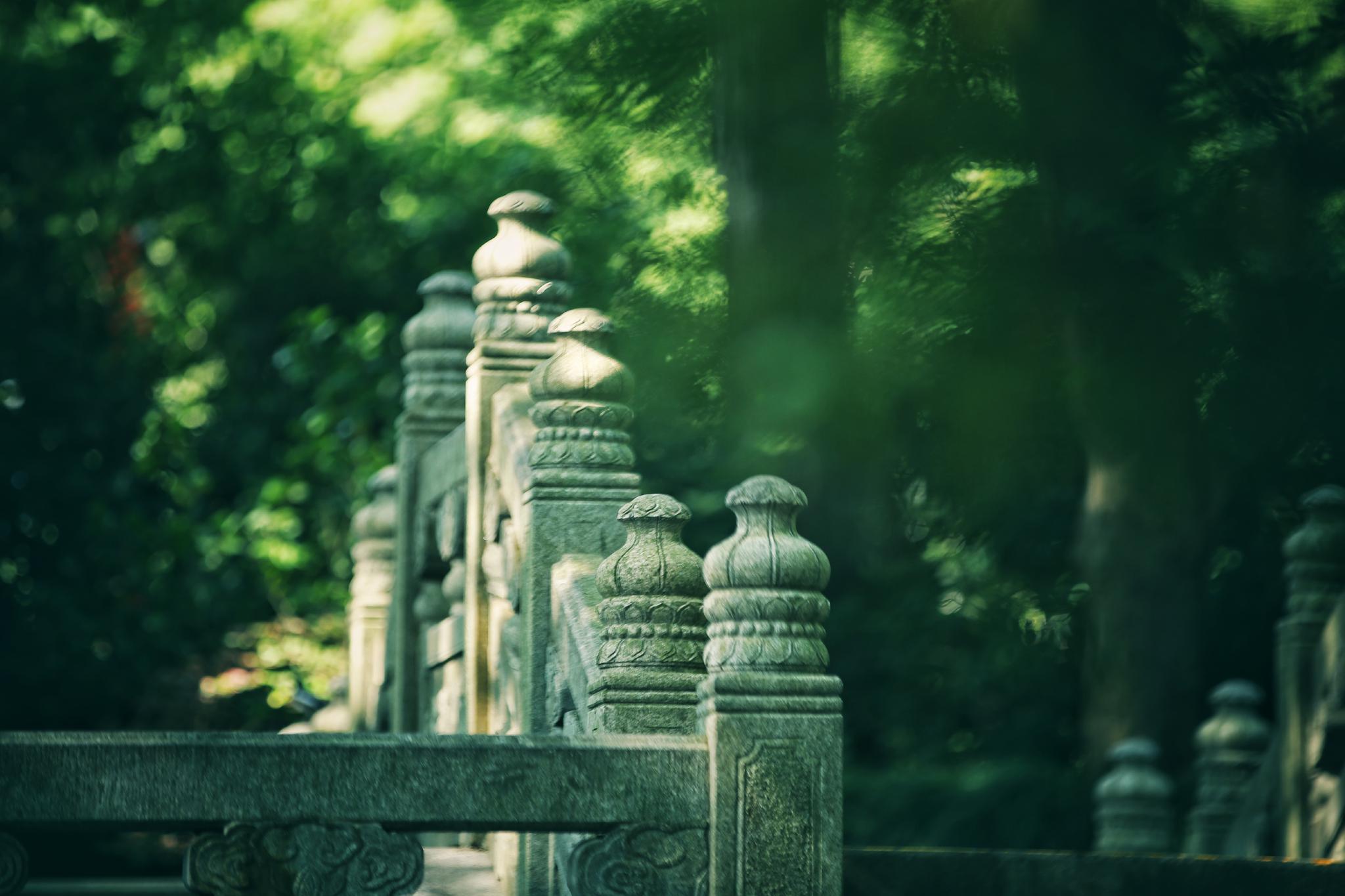 清晨入古寺,初日照高林。杭州,听禅。|古寺|日照|杭州_新浪新闻