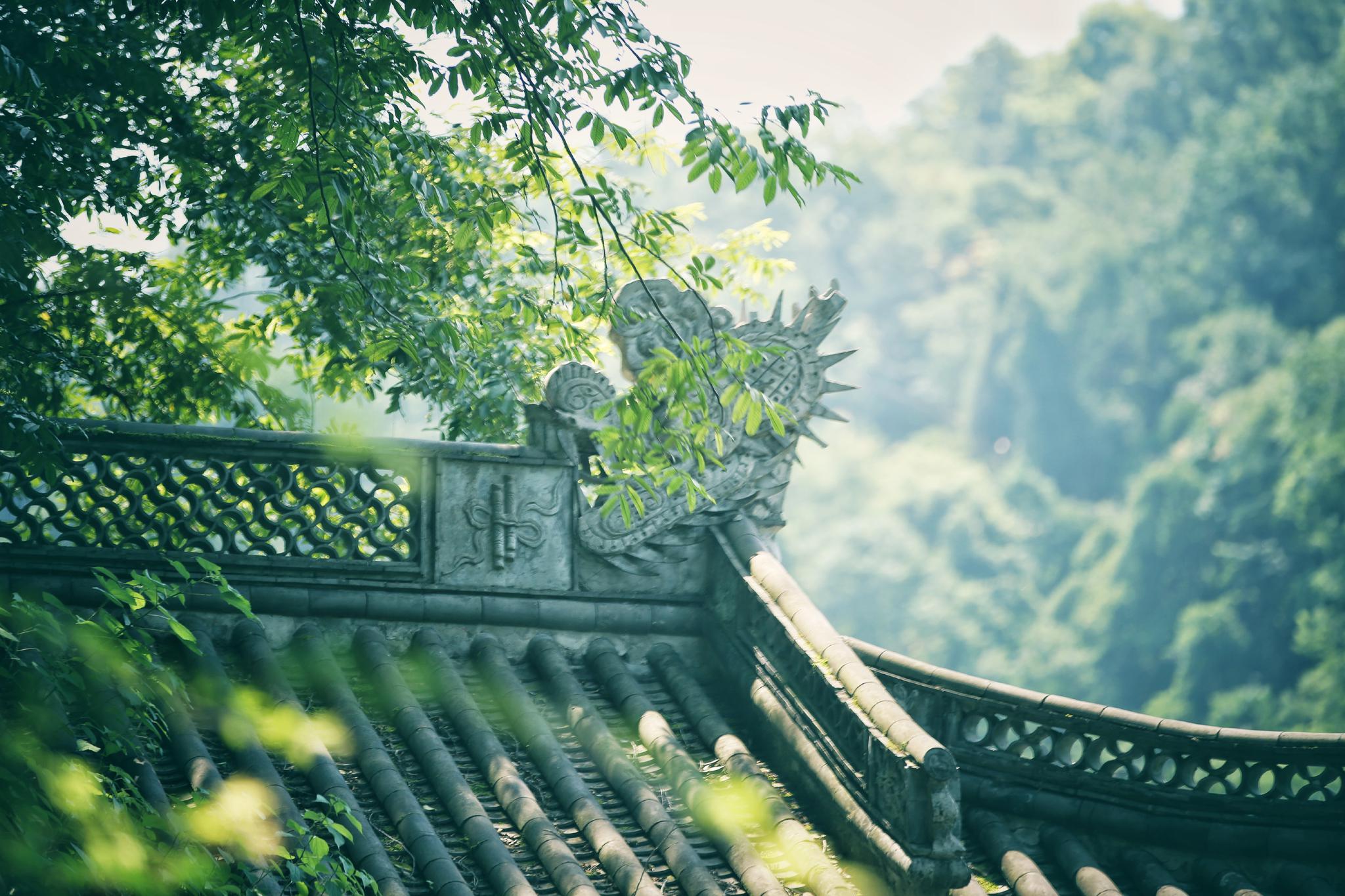 清晨入古寺,初日照高林.杭州,听禅.