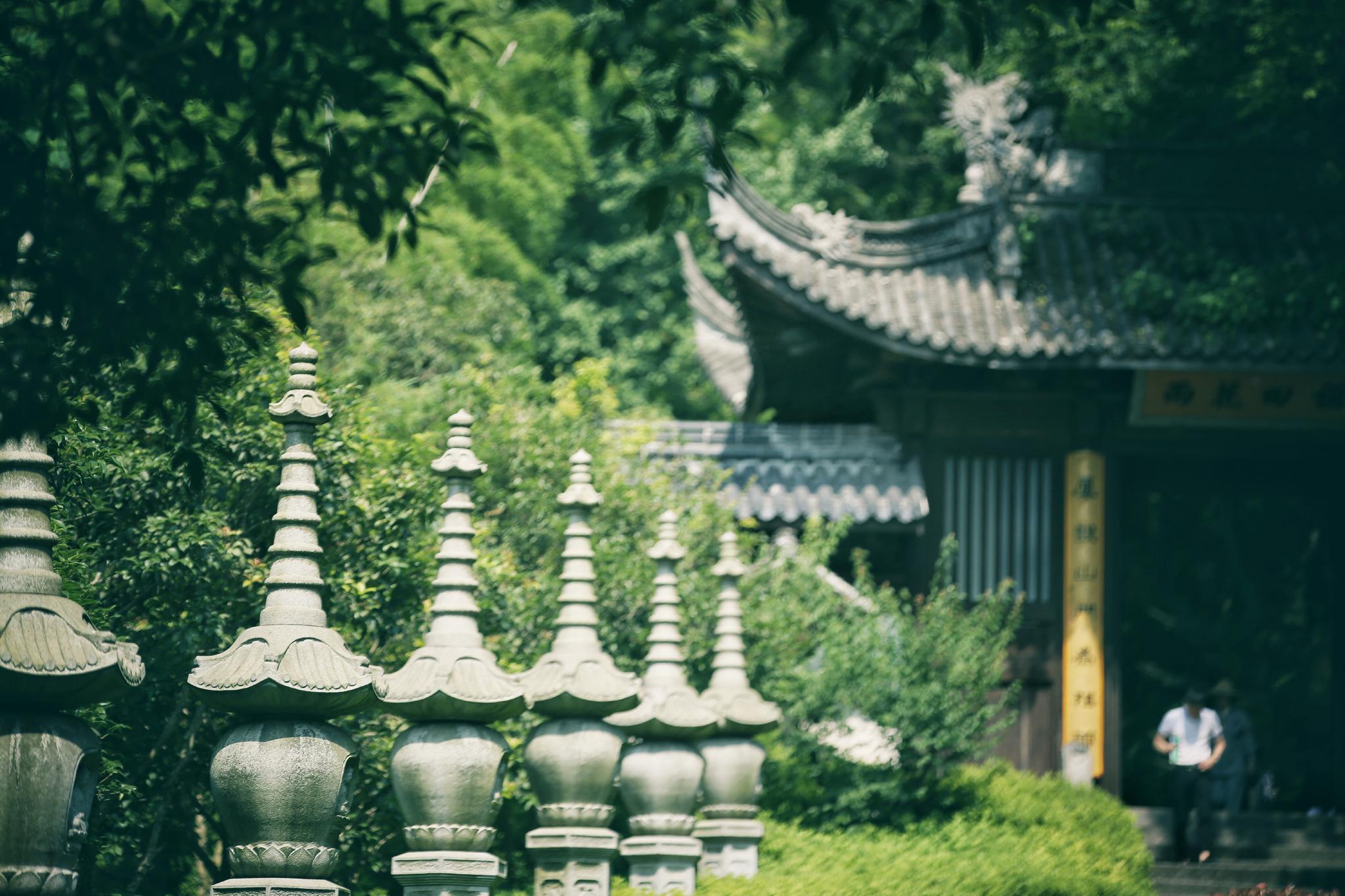 清晨入古寺,初日照高林。杭州,听禅。|古寺|日照|杭州_新浪新闻
