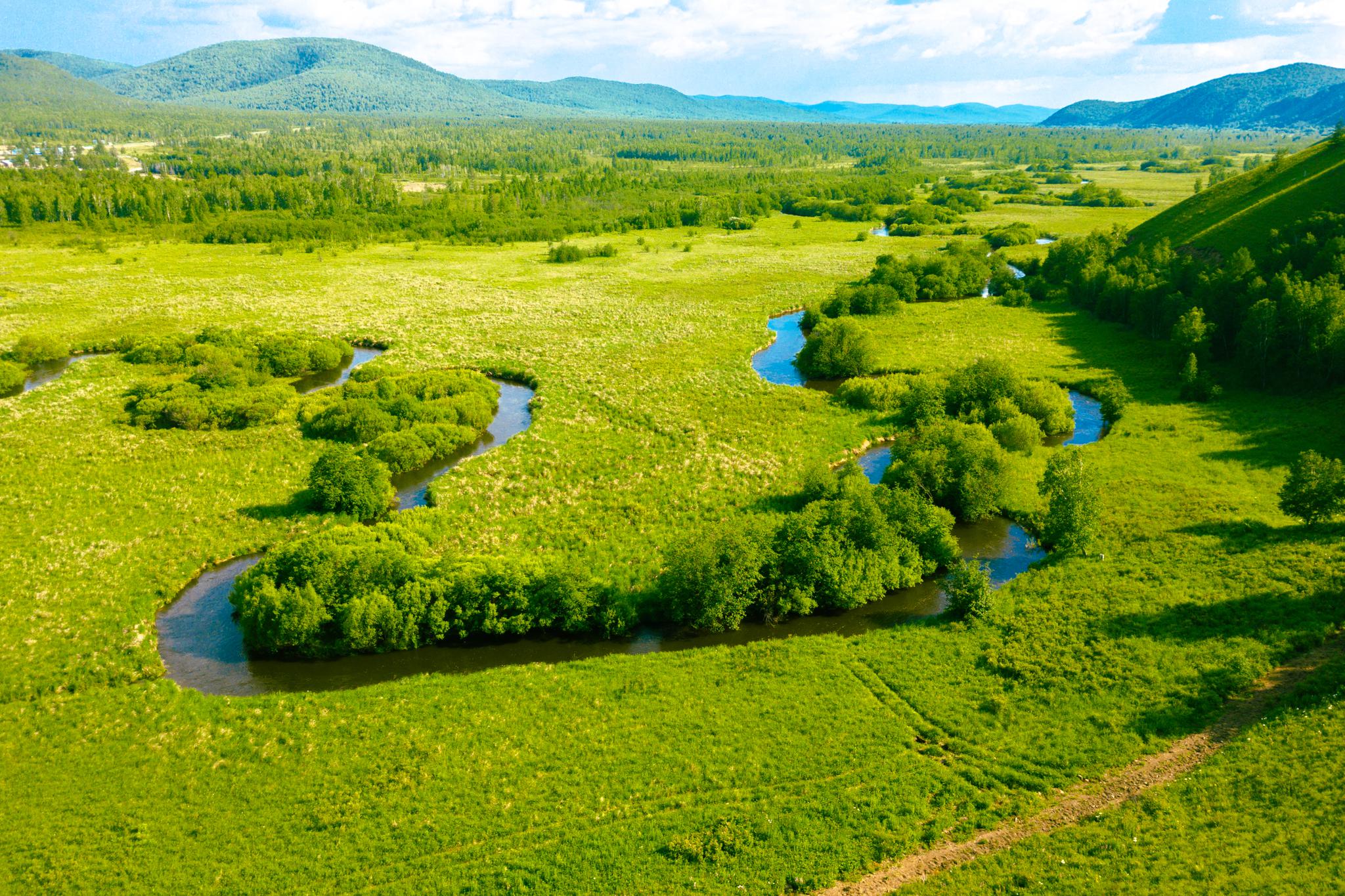 丛林之狐游戏攻略 越战背景的丛林战争游戏有哪些