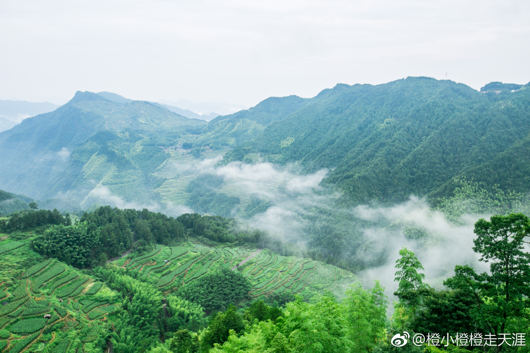 来到遂昌的南尖岩，这里茂林修竹，群峰峥嵘，怪石林立，沟谷幽泞|南尖岩|遂昌|沟谷_新浪新闻