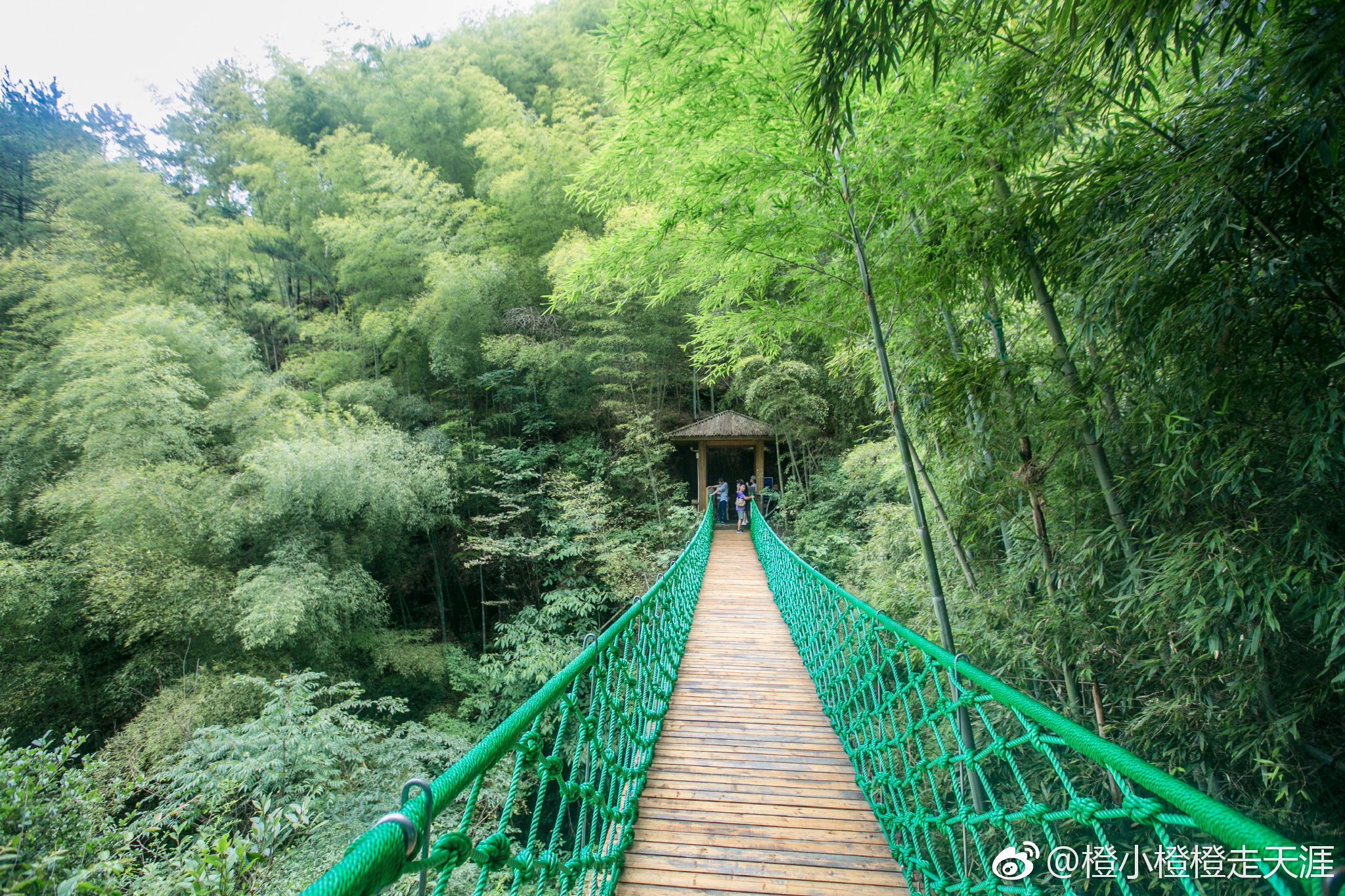 来到遂昌的南尖岩，这里茂林修竹，群峰峥嵘，怪石林立，沟谷幽泞|南尖岩|遂昌|沟谷_新浪新闻