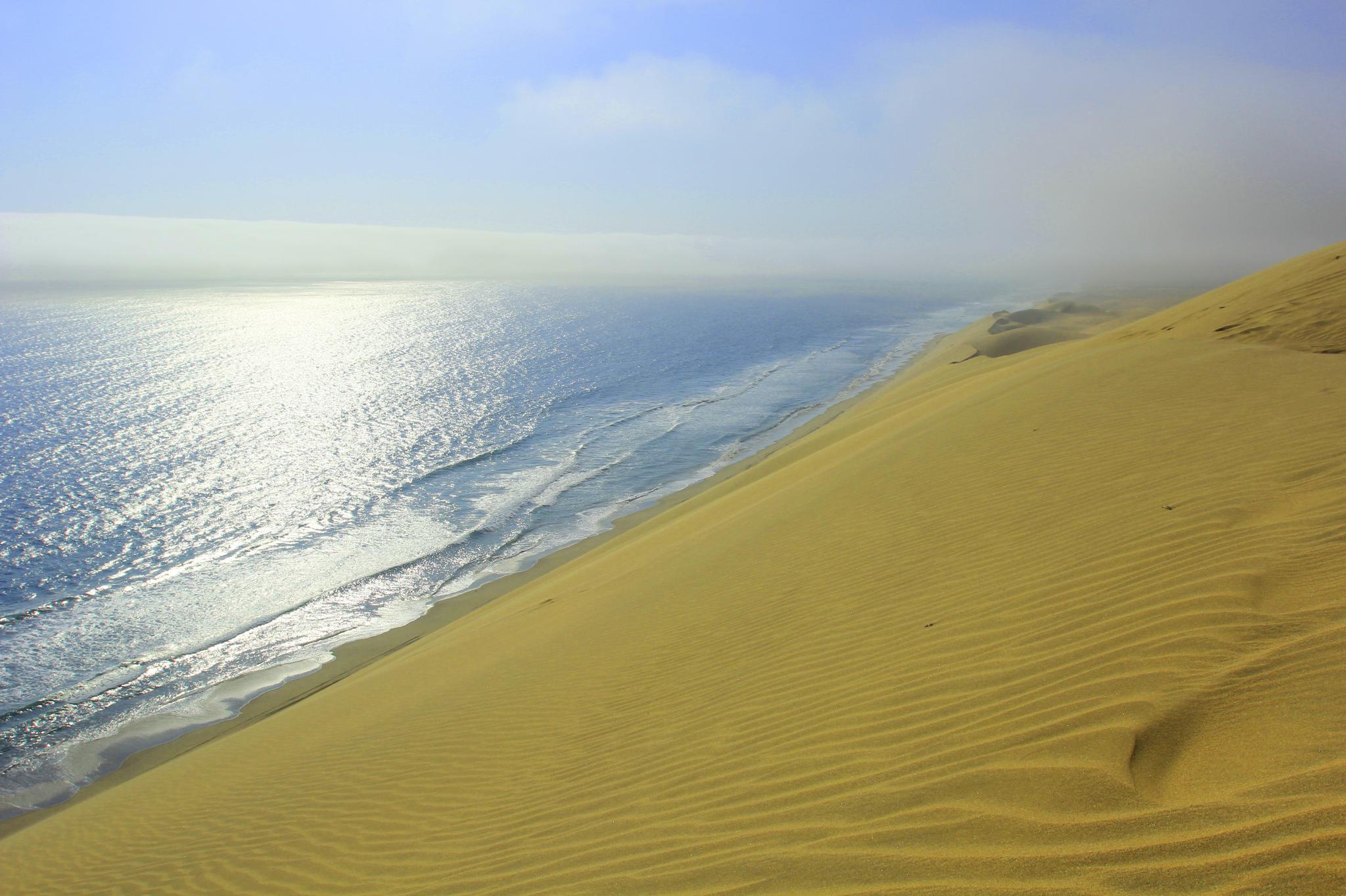 非洲地貌奇观"沙海交响":沙上能长草,沙漠跟海洋紧挨在一起