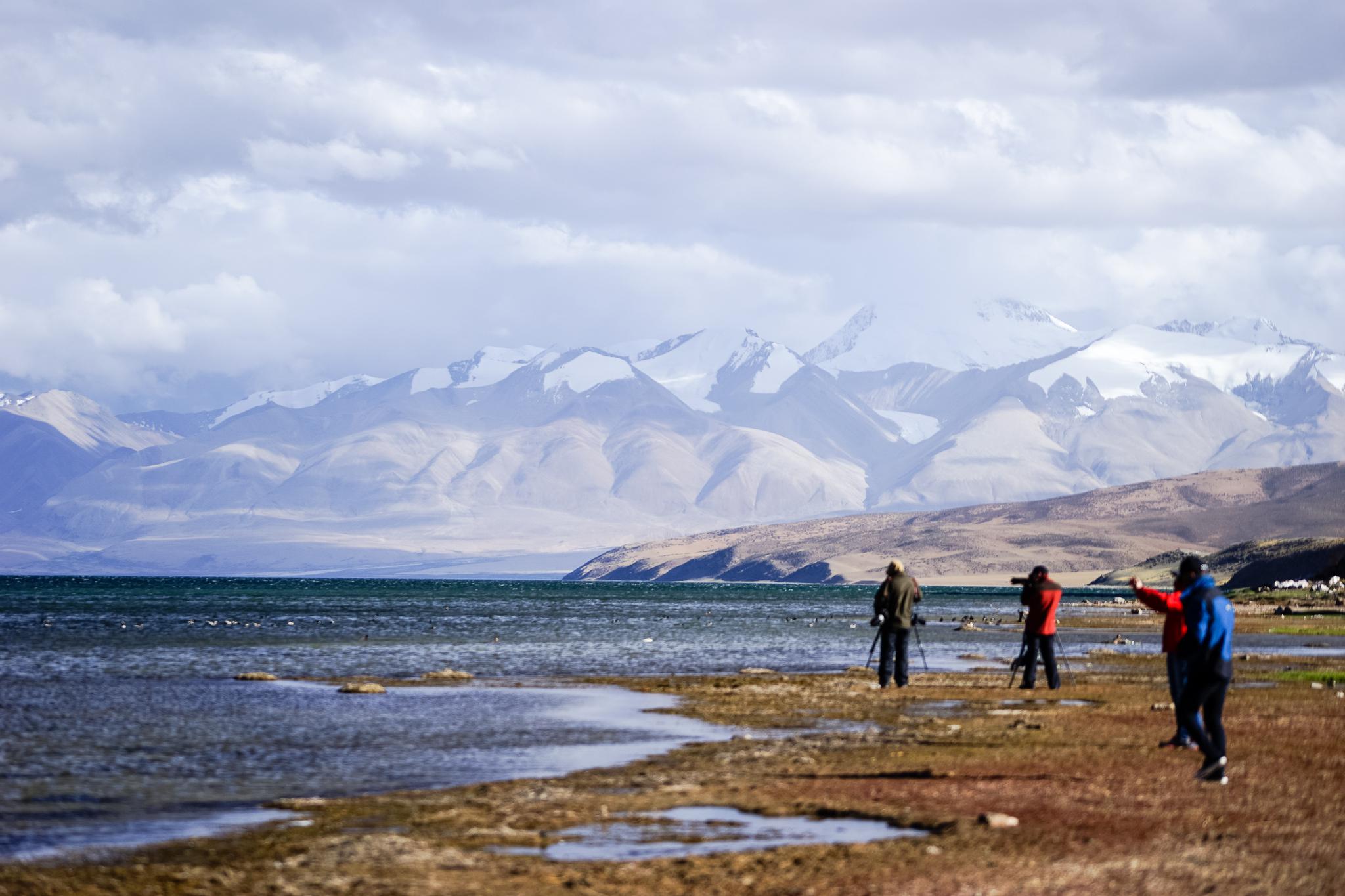 补给减少,水位下降 中国第二大淡水湖玛旁雍措会变成咸水湖么?