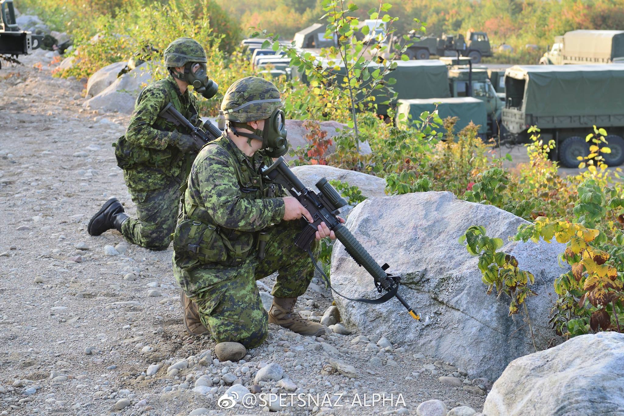 2017年9月,加拿大陆军第35旅下的第35营正在进行战术演习.