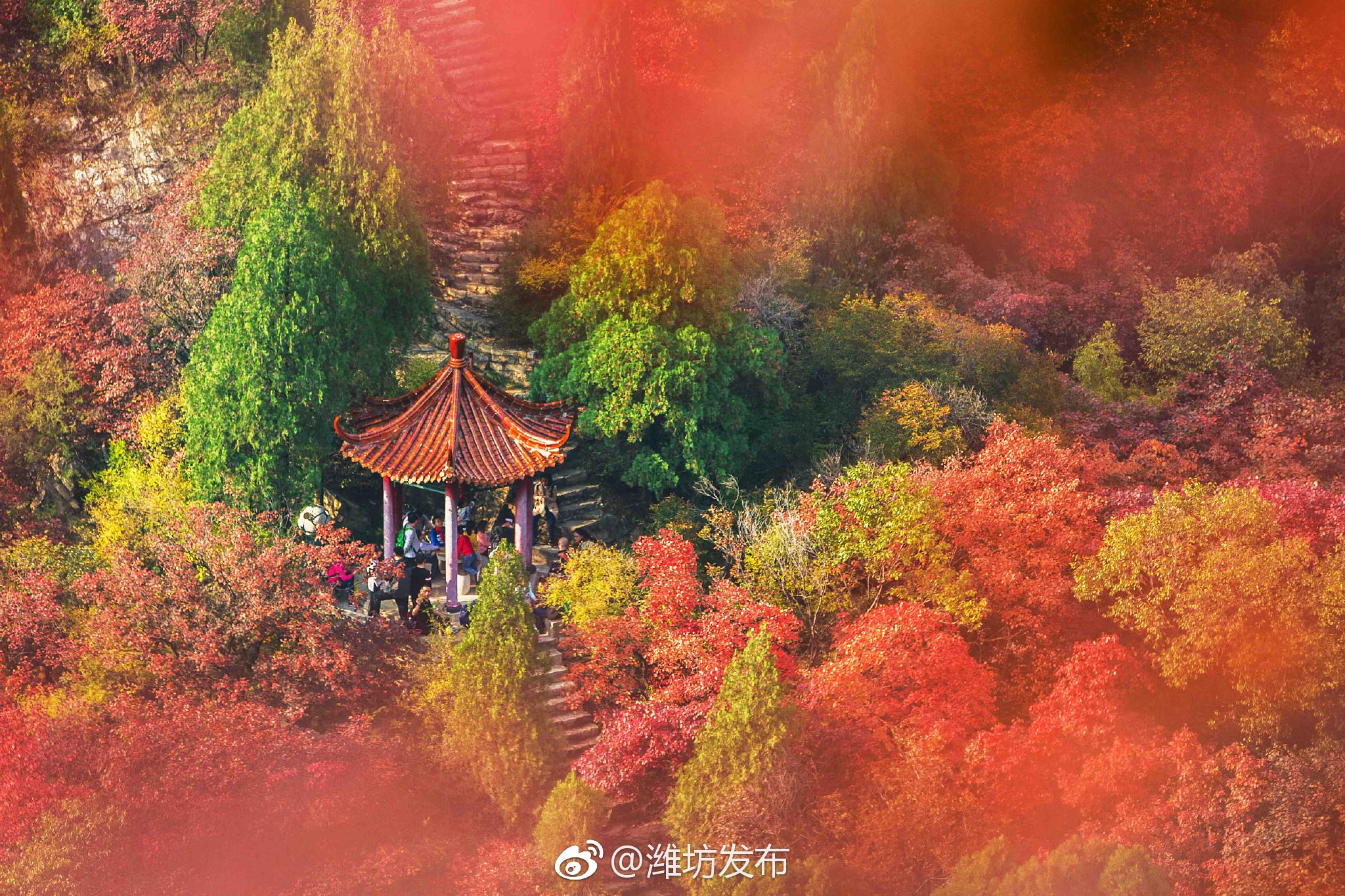 值此教师节来临之际,临朐沂山风景区,老龙湾风景区,石门坊风景区.