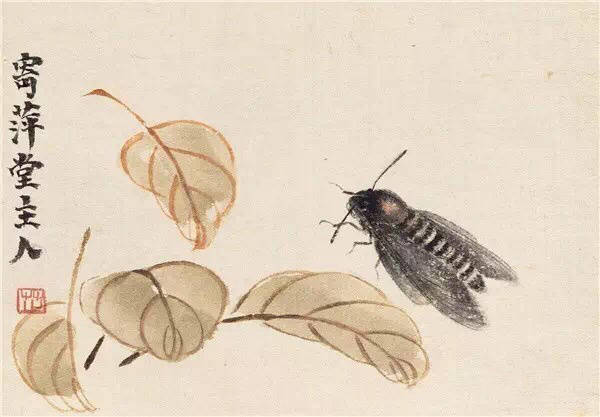 秋虫676767绘齐白石