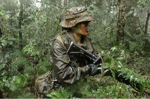 巴西丛林特种部队图片
