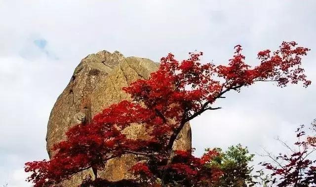 辽宁29处森林公园已集齐!避暑消夏非他们莫属~|猴石|国家森林公园|旅顺口_新浪新闻