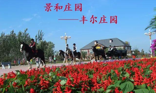 重大新闻河间最美的时节来了简直就是天堂的模样