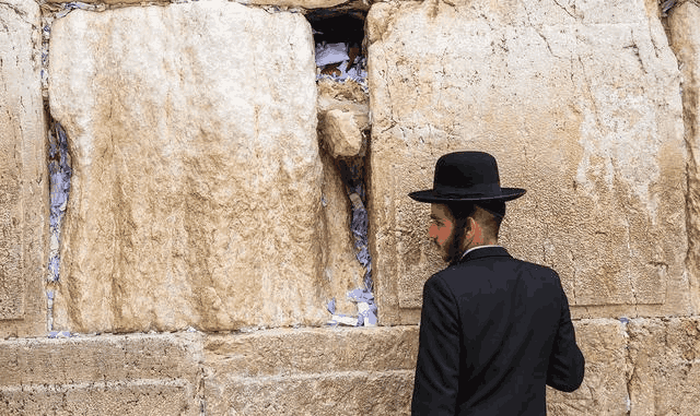 乌克兰人泽连斯基