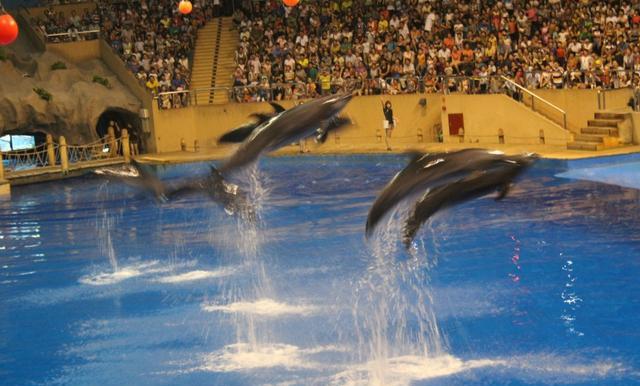 1,北京動物園海洋館海底世界作為兒童時期重要的娛樂方式,對孩子有