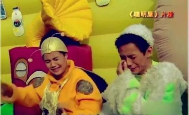 还记得小时候大风车里的那个金龟子和毛毛虫吗?(内含小惊喜)