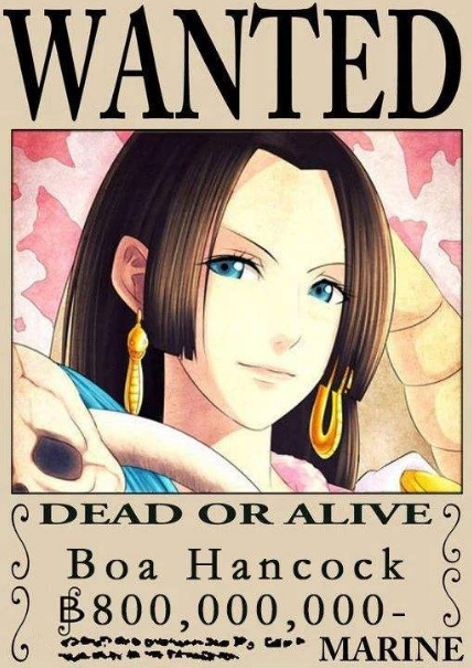 女帝--8000万贝里