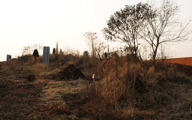 今天总算知道了真正原因,没那么玄乎|坟地|学校|乱葬岗_新浪新闻