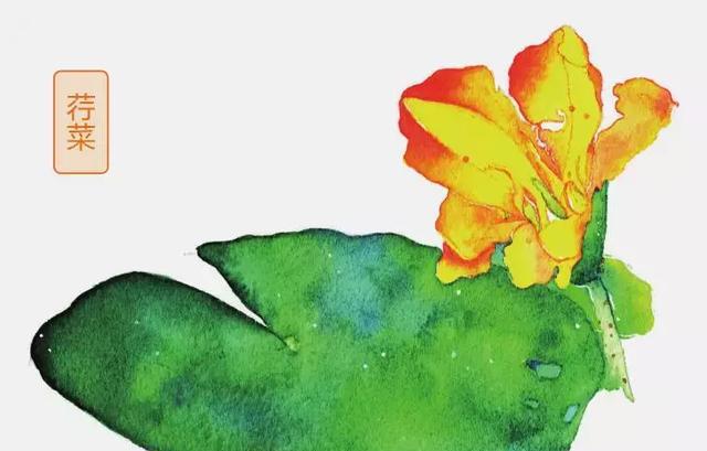 "关关"叫的就是雎鸠吗?"雎鸠"到底是什么鸟?