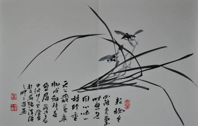 安君康中国画水墨兰草作品选