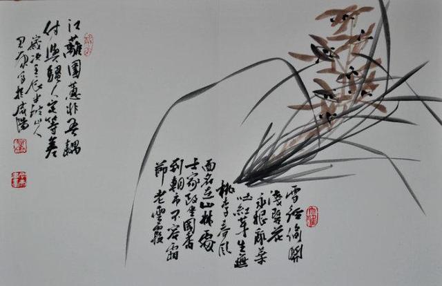 安君康中国画水墨兰草作品选