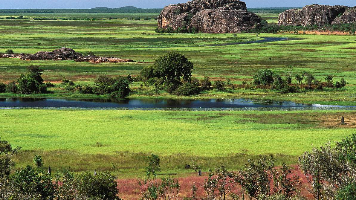 美国声称,我国华北平原未来不宜居住,不用担心,有它就能活下去