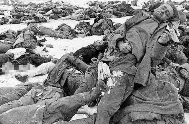 世界史上最凄惨一战,199天伤亡200万军队,至今白骨累累