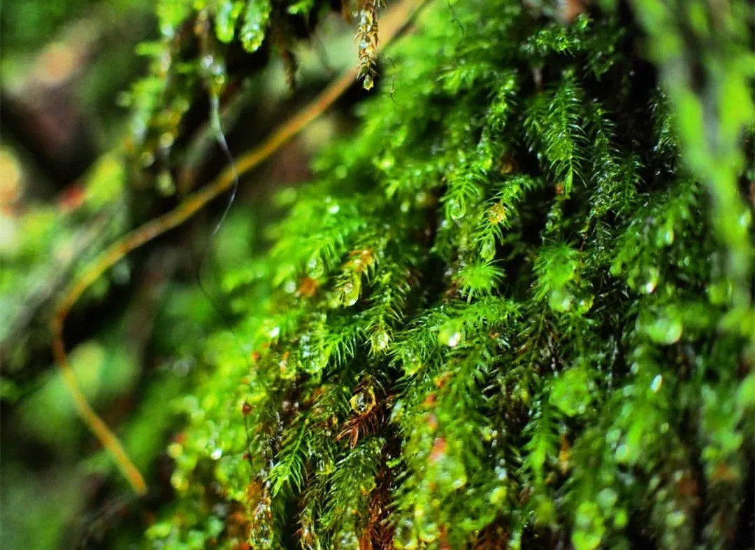 黄渤导演《一出好戏》票房逆袭!那座绝美末世