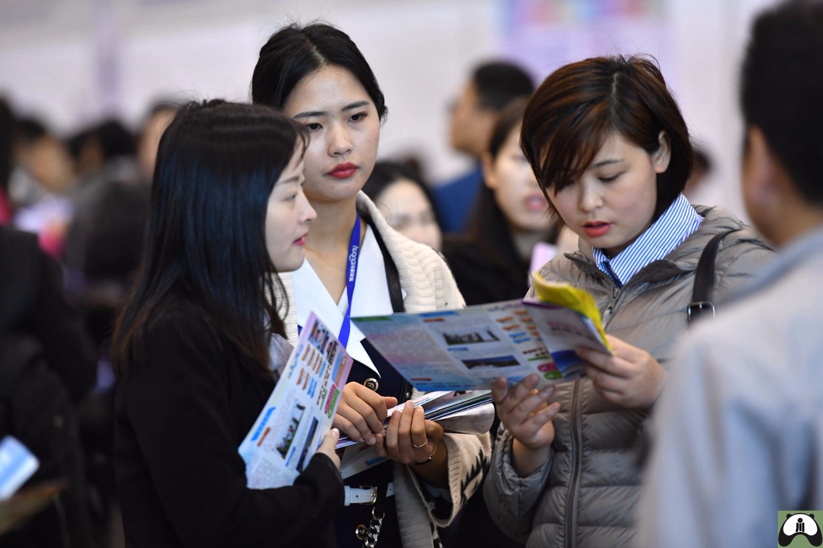 seo软件流程设计招聘