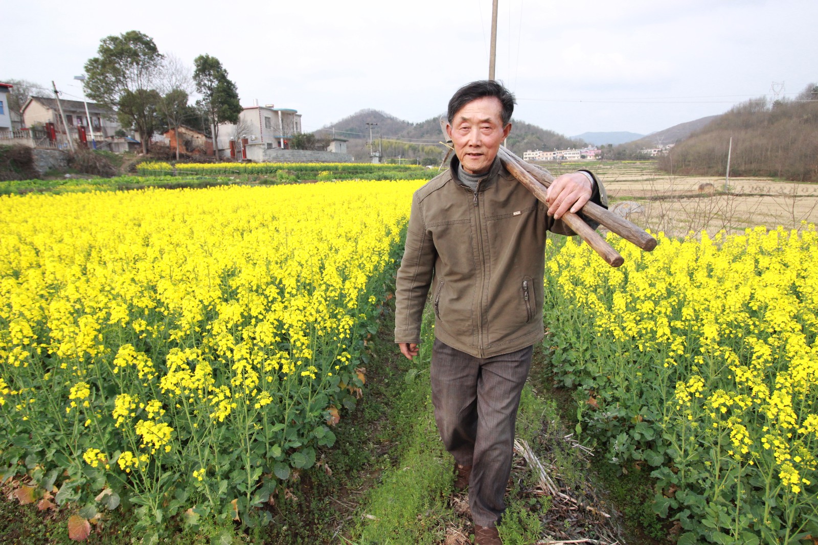 73岁农民利用种田间隙进行创作20年 终圆出书梦