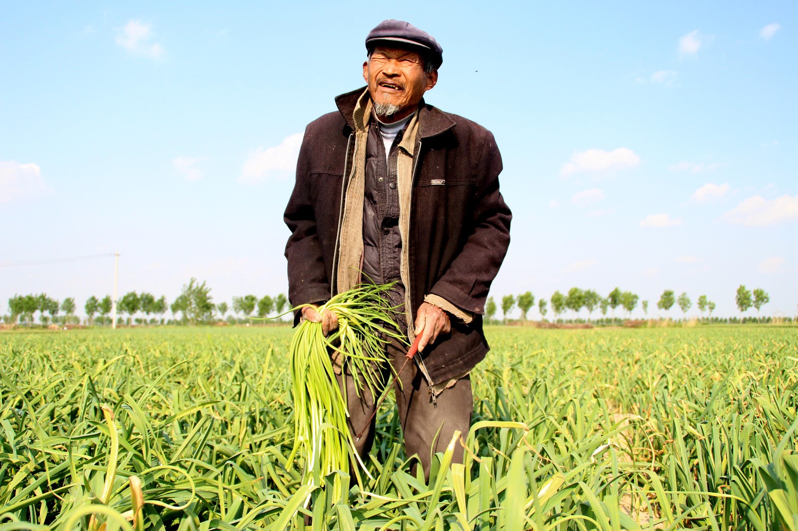 84岁老人下地干活走一步歇一步:老百姓不种地吃啥啊|老人|蒜苔|下地_