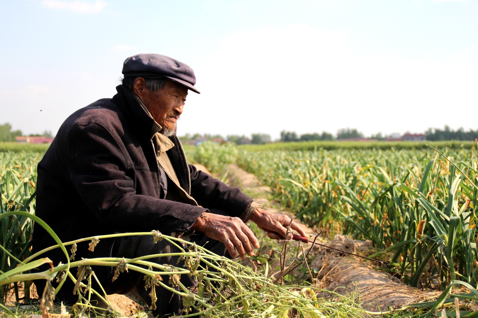 84岁老人下地干活走一步歇一步老百姓不种地吃啥啊