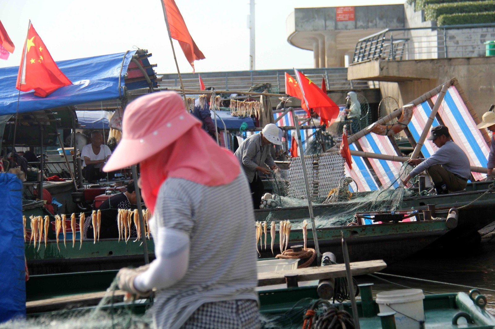 长江刀鱼捕捞进入倒计时,渔民表示今年的收成还不错