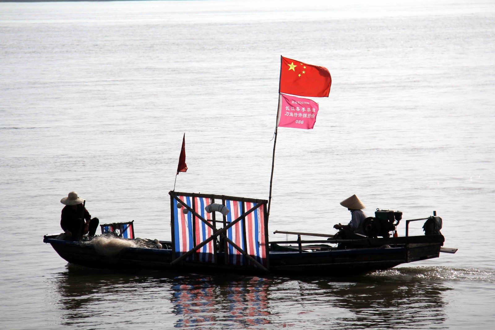 长江刀鱼捕捞进入倒计时,渔民表示今年的收成还不错