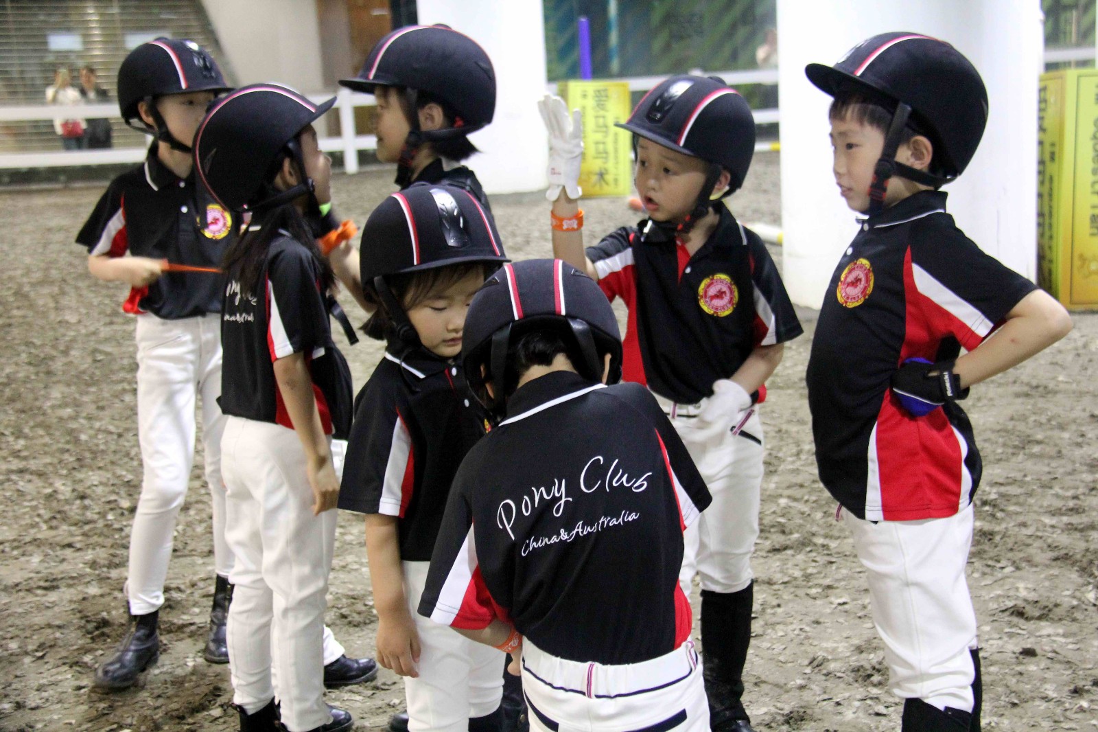 第一次参加这一场小朋友的马术考试感受孩子与动物纯真的爱