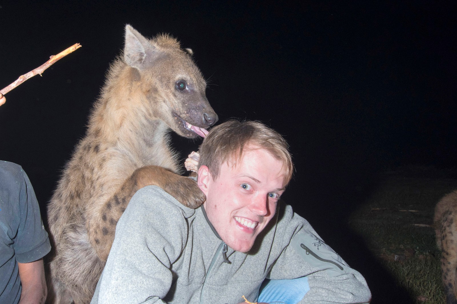 世界上最危险的职业,口咬生肉喂食鬣狗,背后原因让人感动