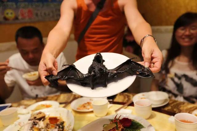 擅长黑暗料理的小岛,蝙蝠汤竟成名菜?中国人看了也要醉了!