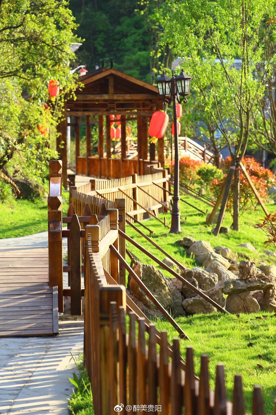 贵阳蓬莱仙境的花,开的正艳