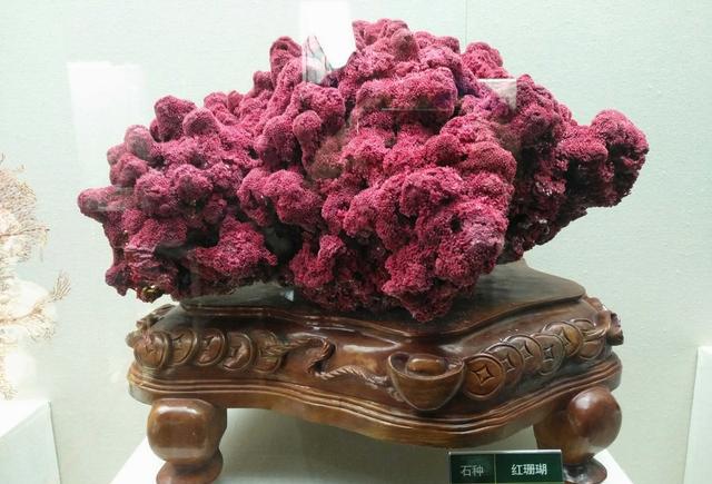 据说有的石头比车贵