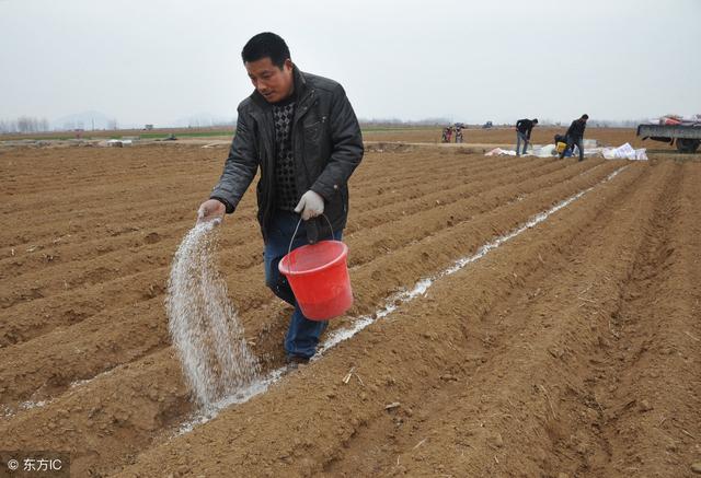土地施肥别乱施,不仅土地肥沃不了,还影响农作物的生长!