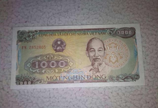 网友:自己"作"的|越南|中国人|小费_新浪新闻