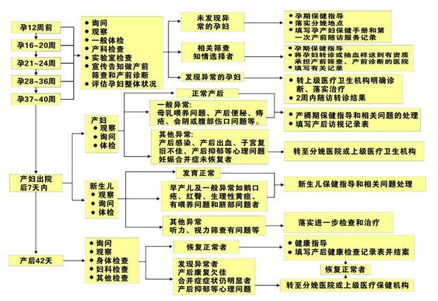 最后附上产妇在生产前后检查时医生都会做的哪些流程图:产检的时间和