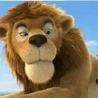 汽车博物馆的手抄报图片大全!