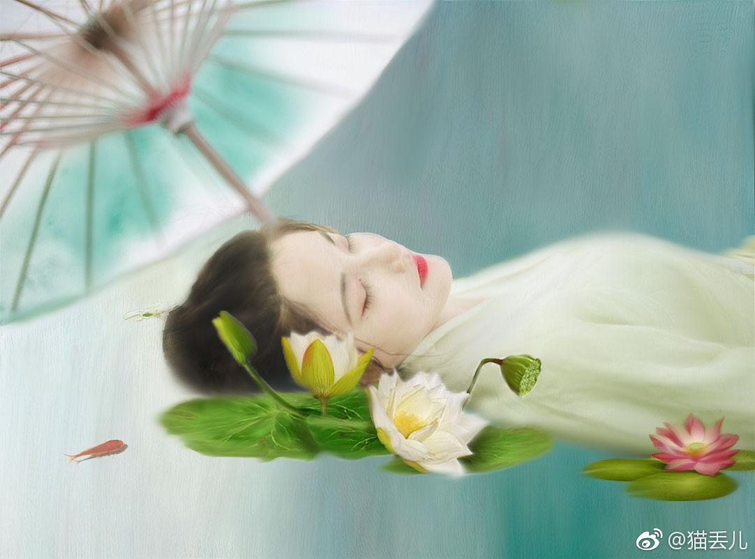 浮生——莲花仙子