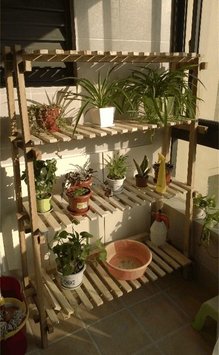 你扔掉的木条被我捡回家秒变多层花架200块都不卖