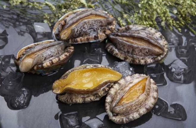 土鳖朋友吃海鲜闹笑话美女服务员问他要几头鲍鱼他说十几头