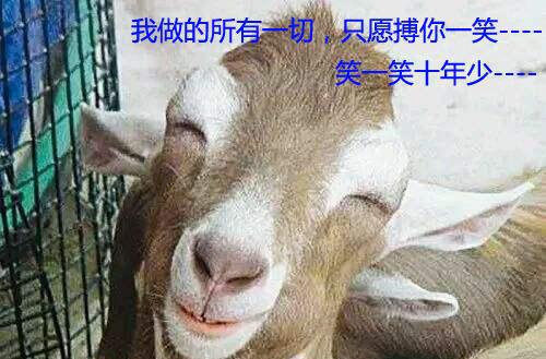 笑一笑十年少